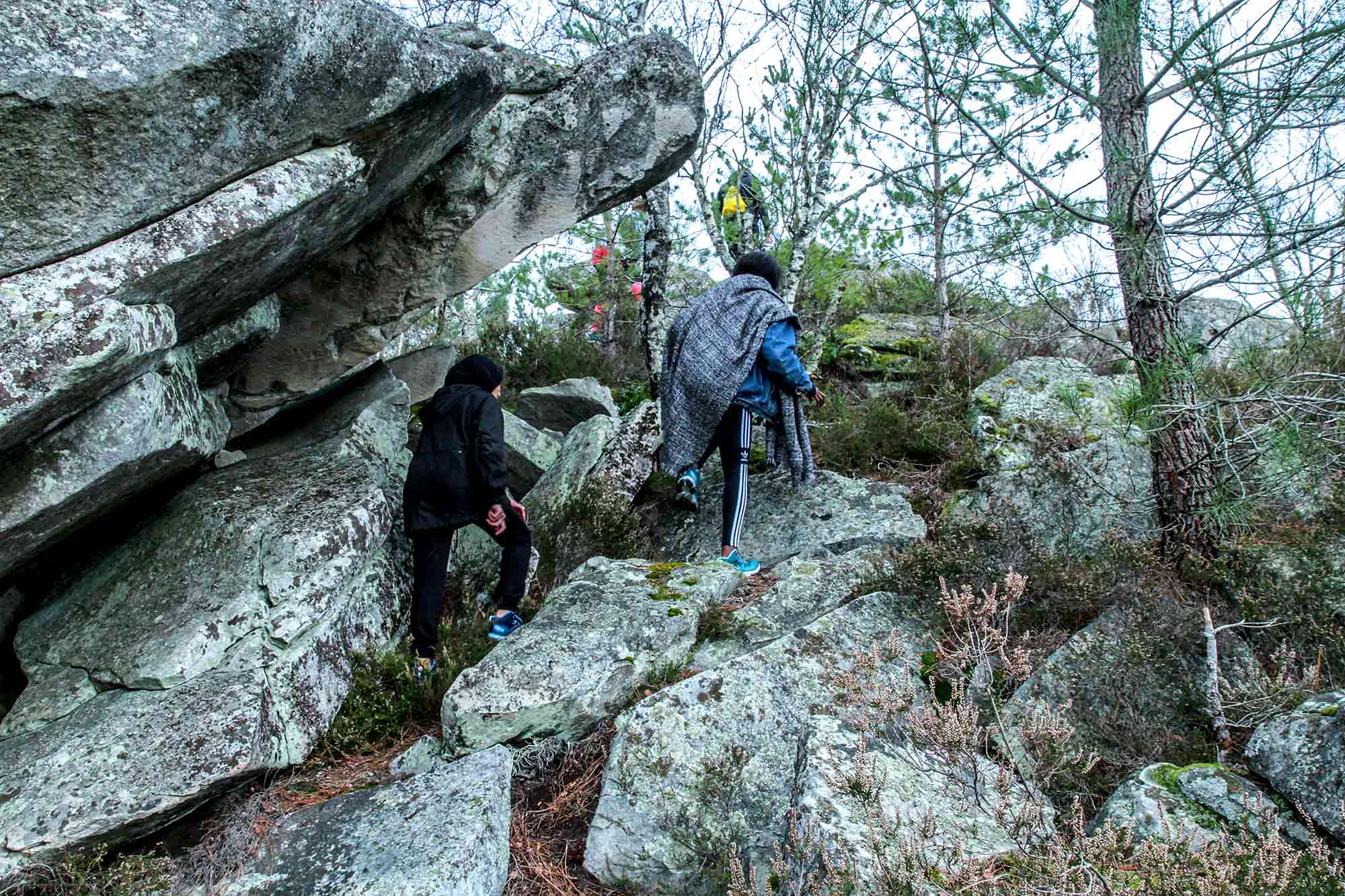 Les jeunes de l'association APART dans la forêt de Fontainebleau