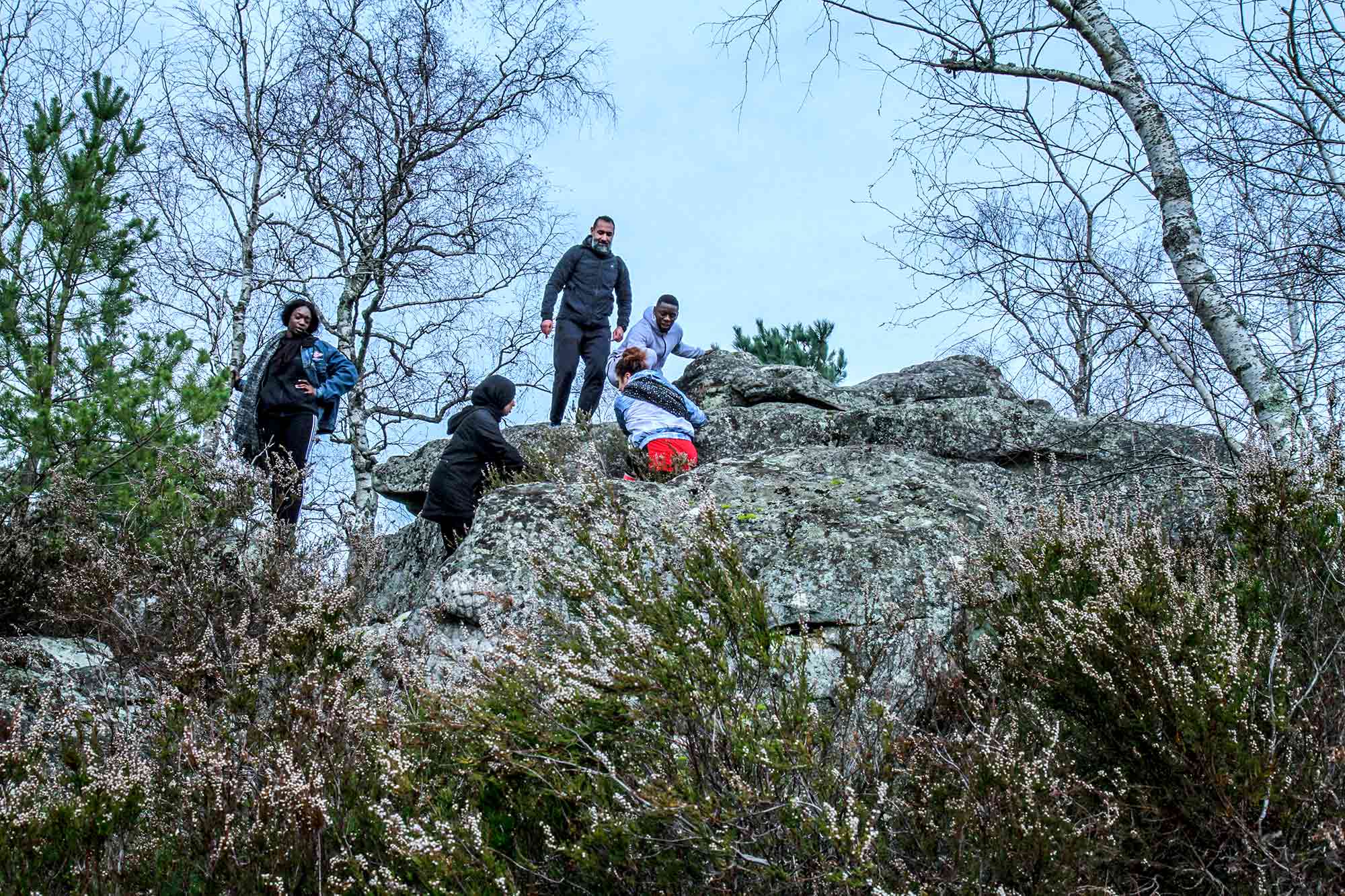 Les jeunes de l'association APART dans la forêt de Fontainebleau