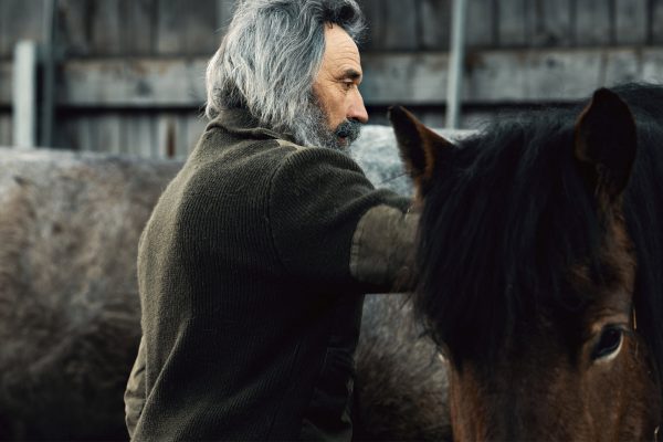 En traîneau à cheval dans le Val Roseg