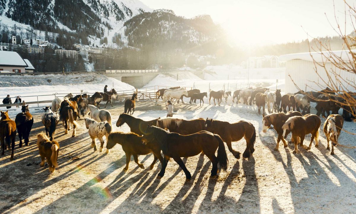 En traîneau à cheval dans le Val Roseg