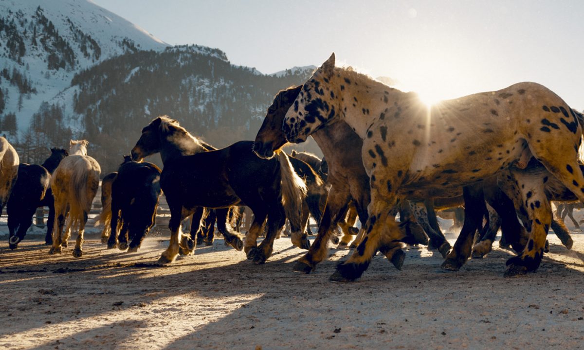 En traîneau à cheval dans le Val Roseg