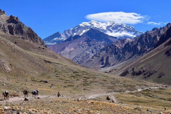 Aconcagua