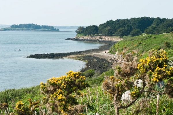 L'île aux moines ( Office du tourisme de l'Ile de tourisme)