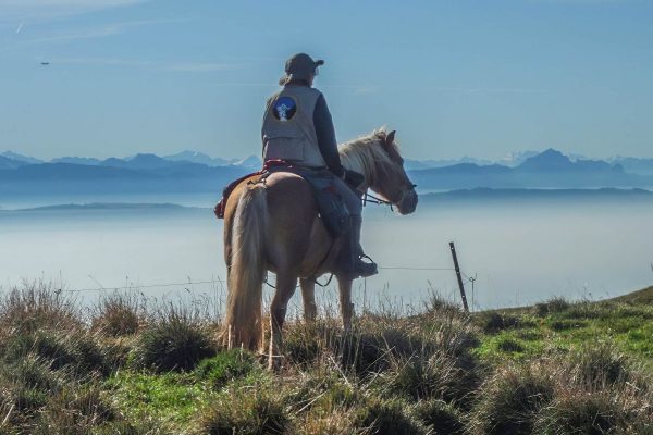 Mère et fille sur les traces des loups