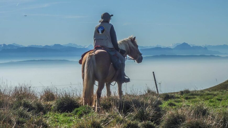 Mère et fille sur les traces des loups