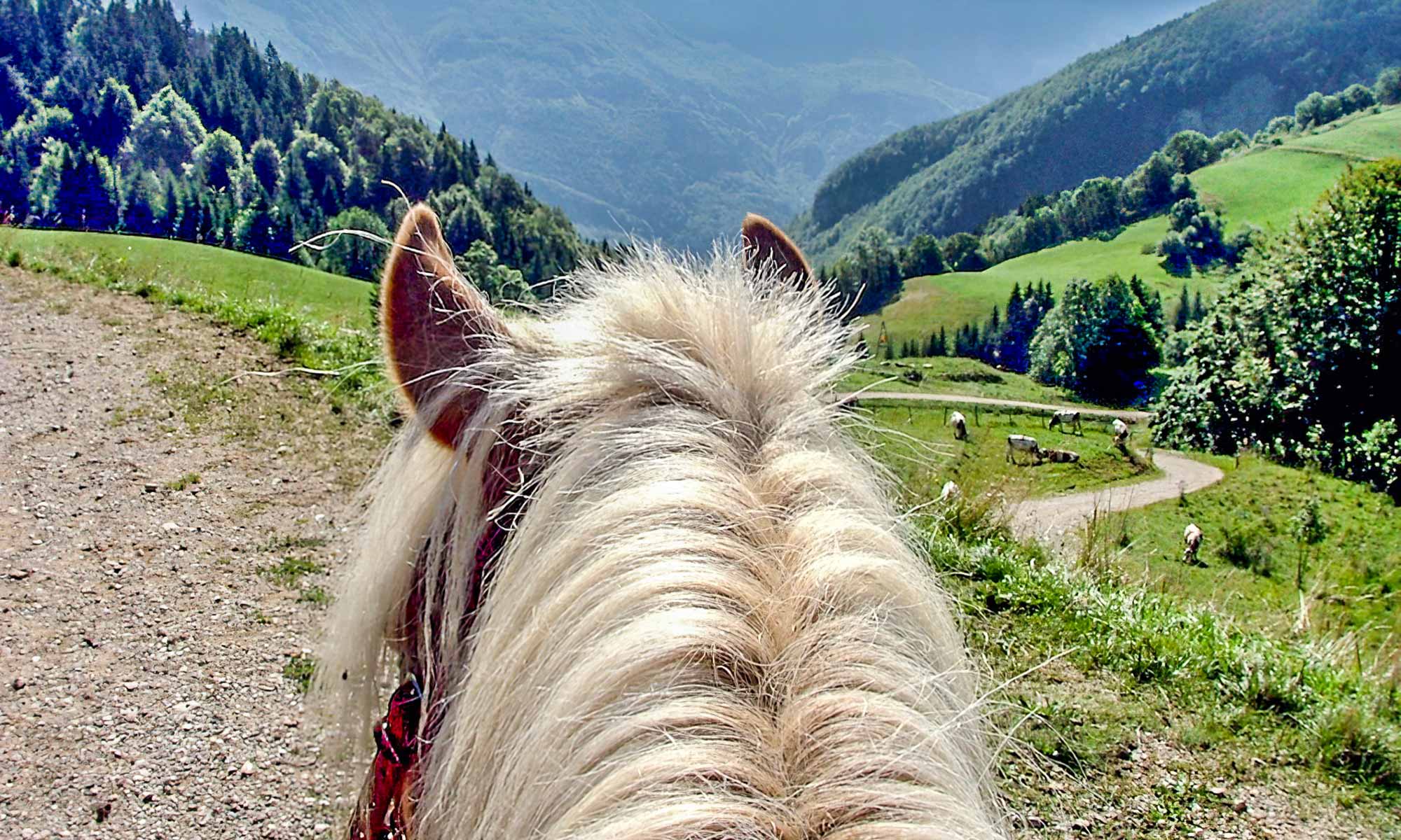 Mère et fille sur les traces des loups