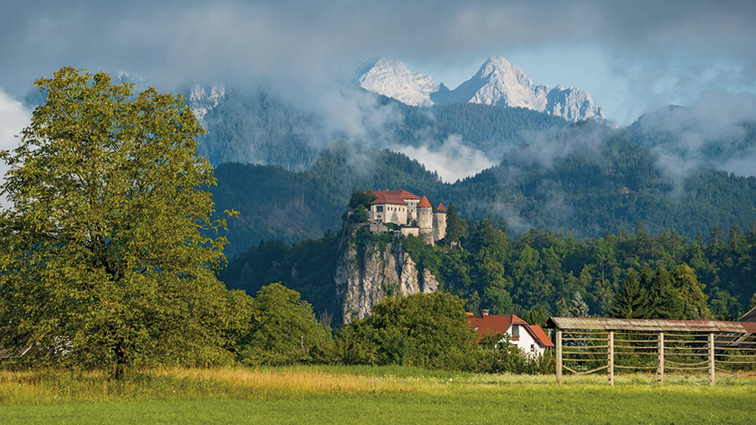 Château de Bled
