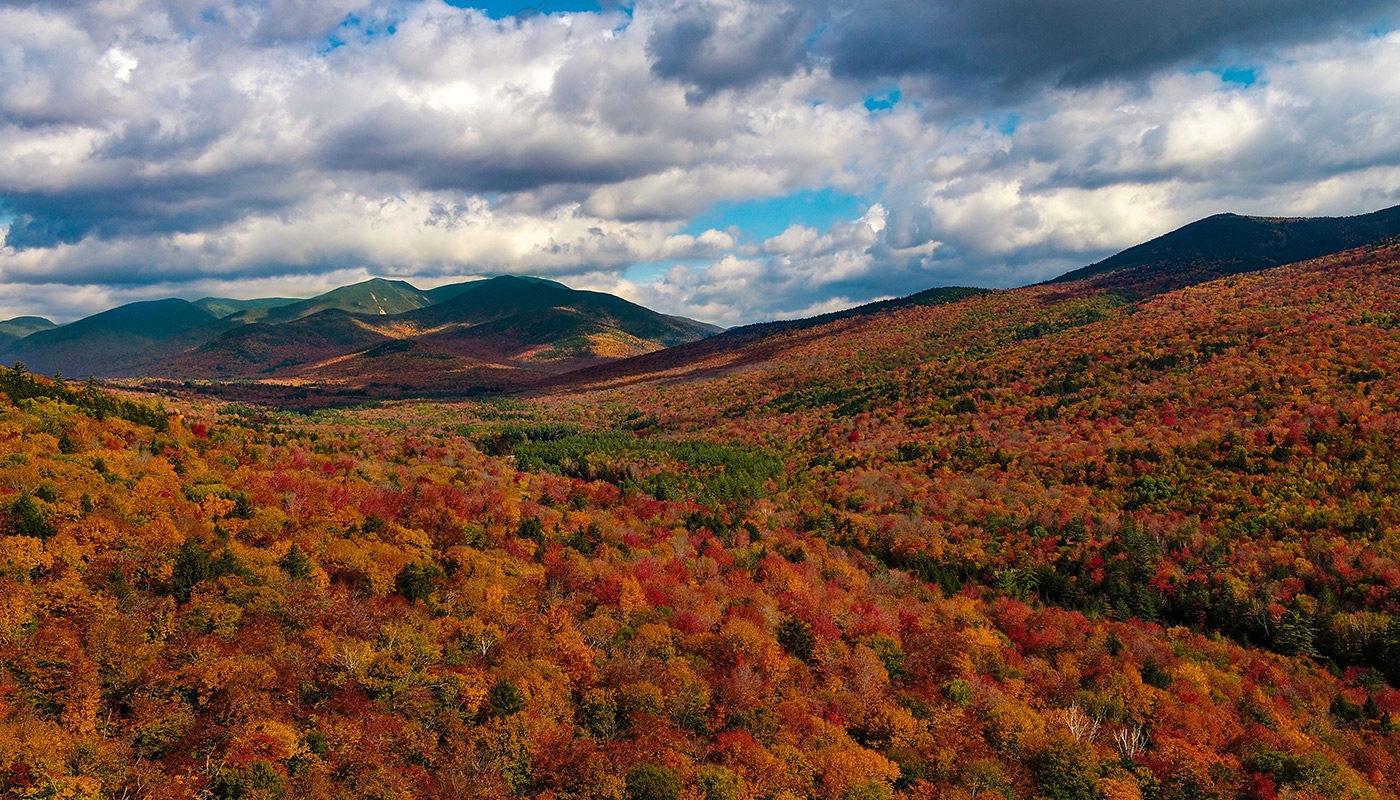 White Mountains