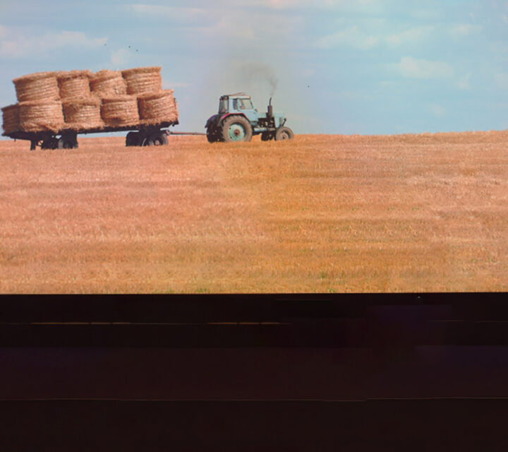 A farm for the future