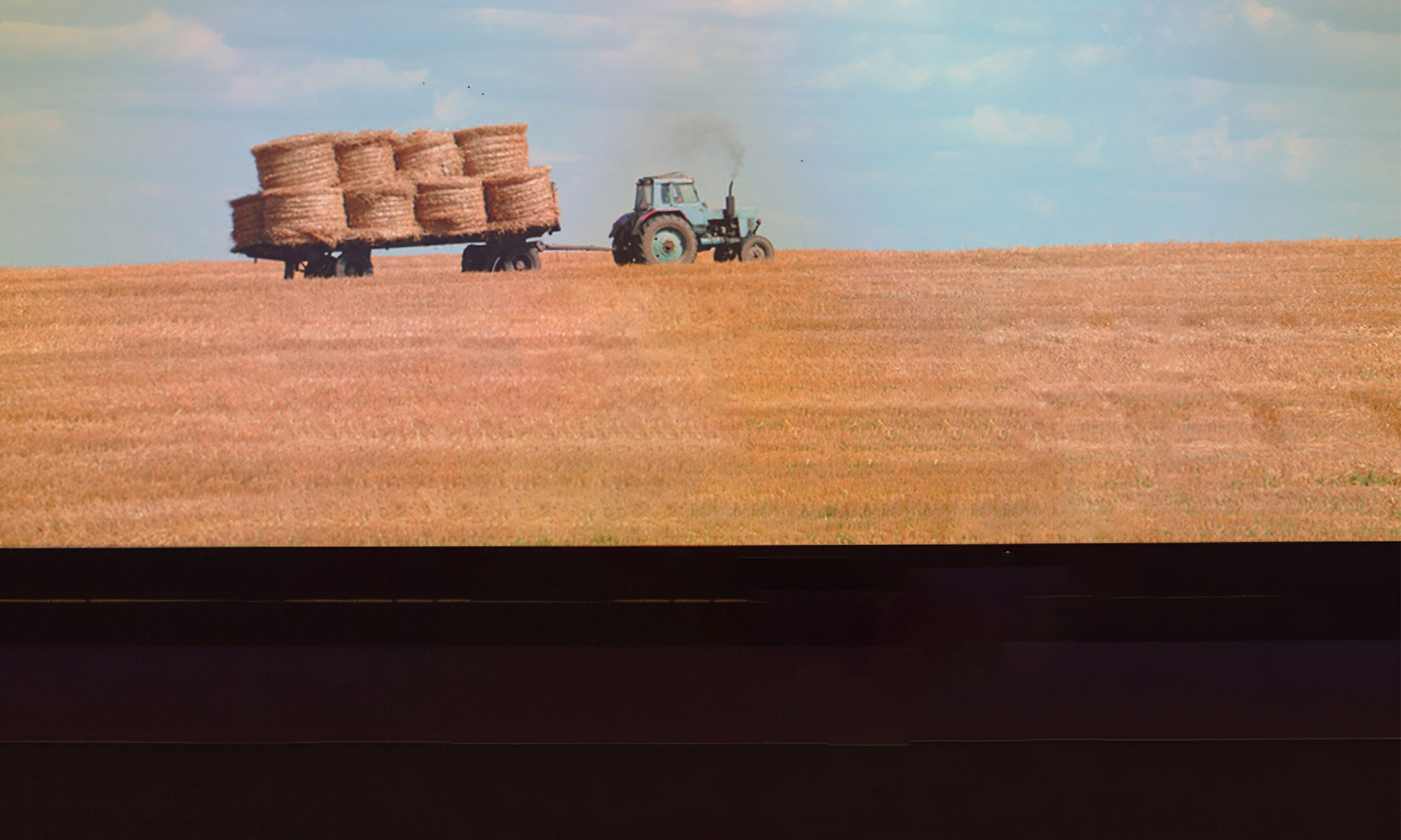 A farm for the future