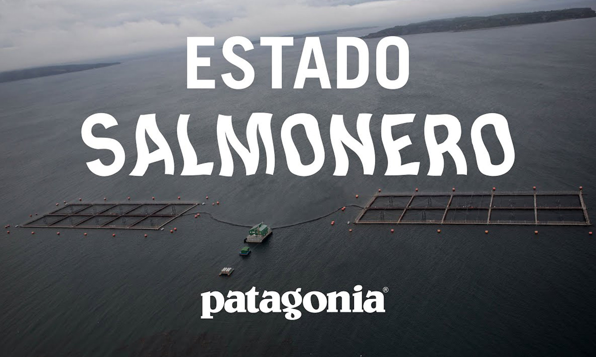 Estado Salmonero