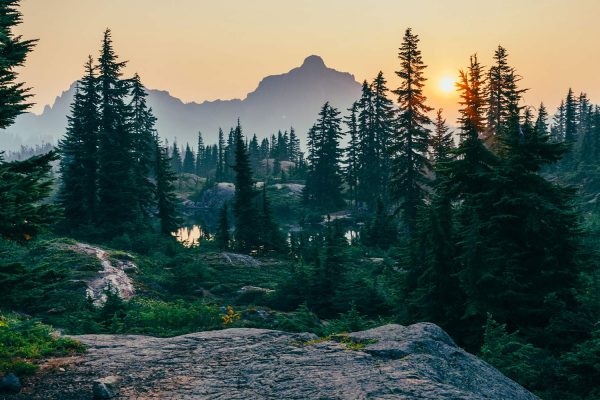 Les meilleurs films sur l'environnement en streaming et libre accès