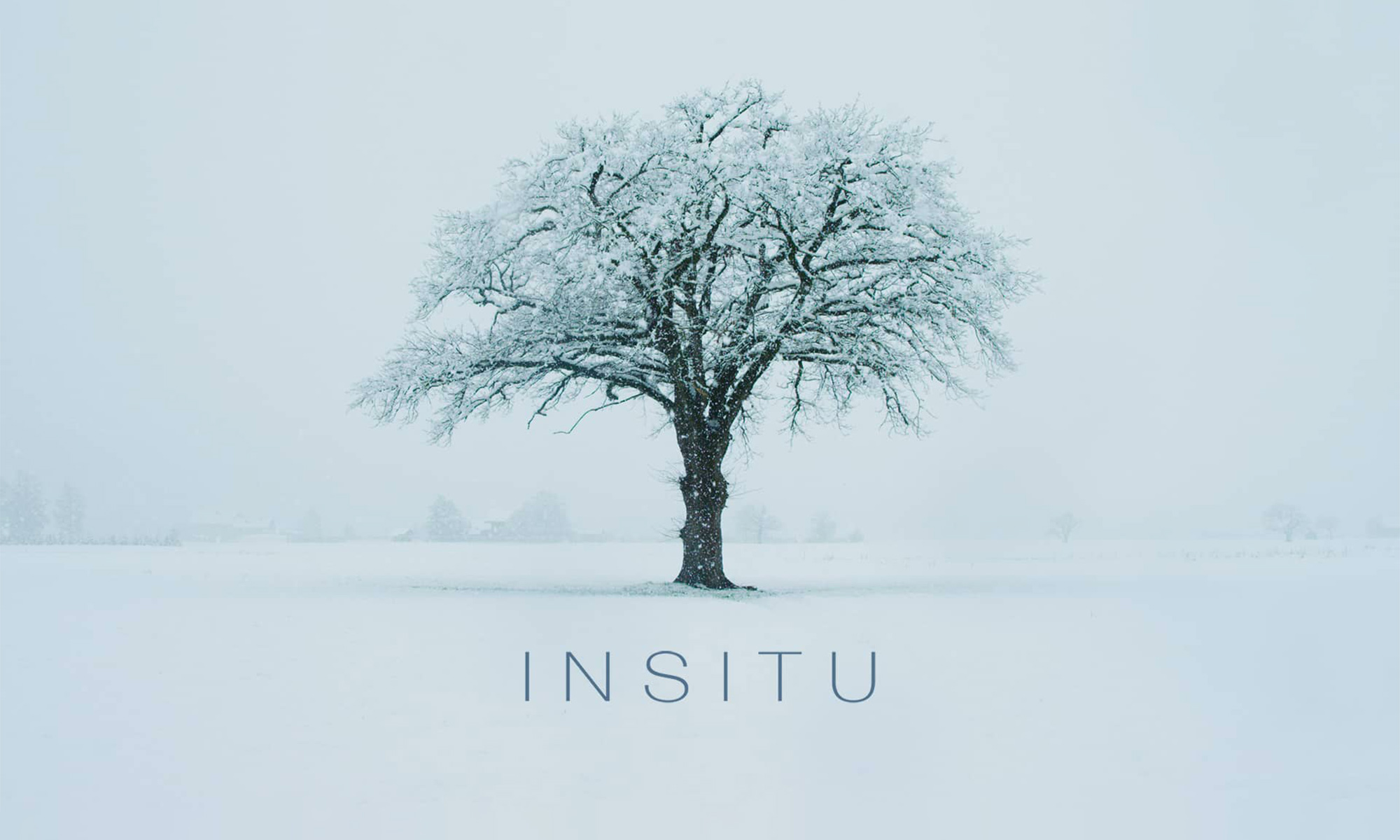 Insitu