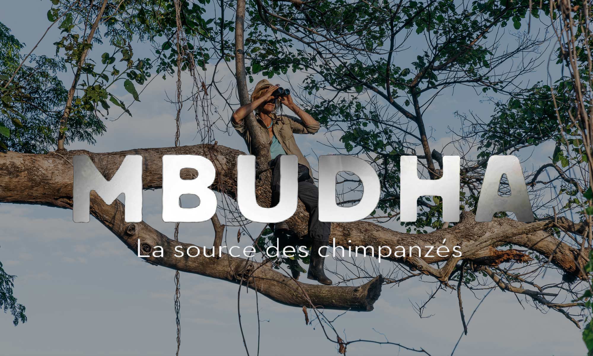 Mbudha, la source des chimpanzés