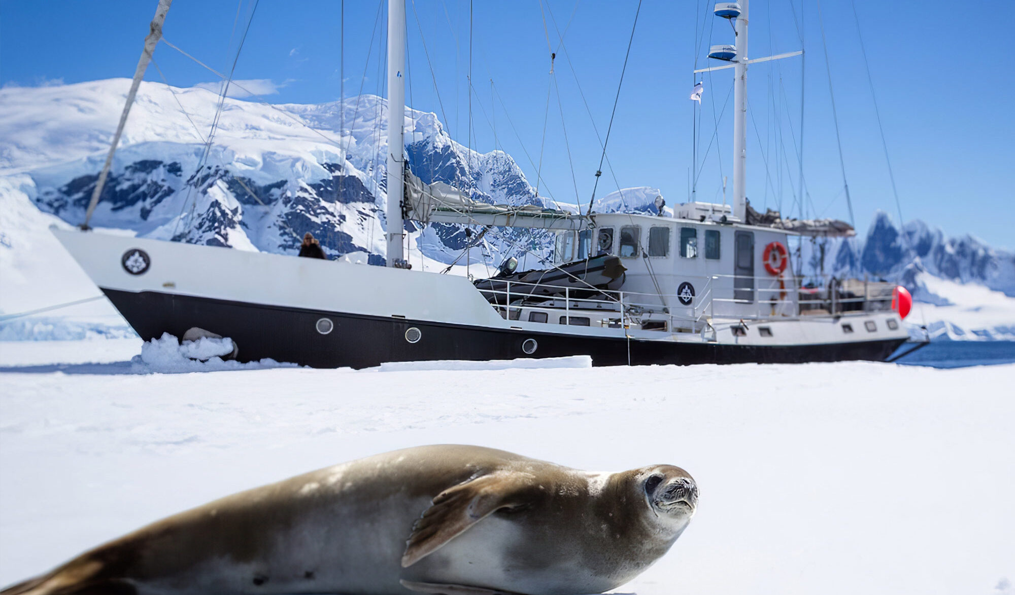 Mission Antarctic
