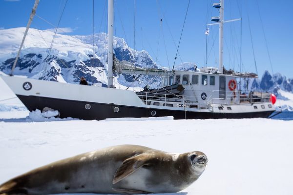 Mission Antarctic