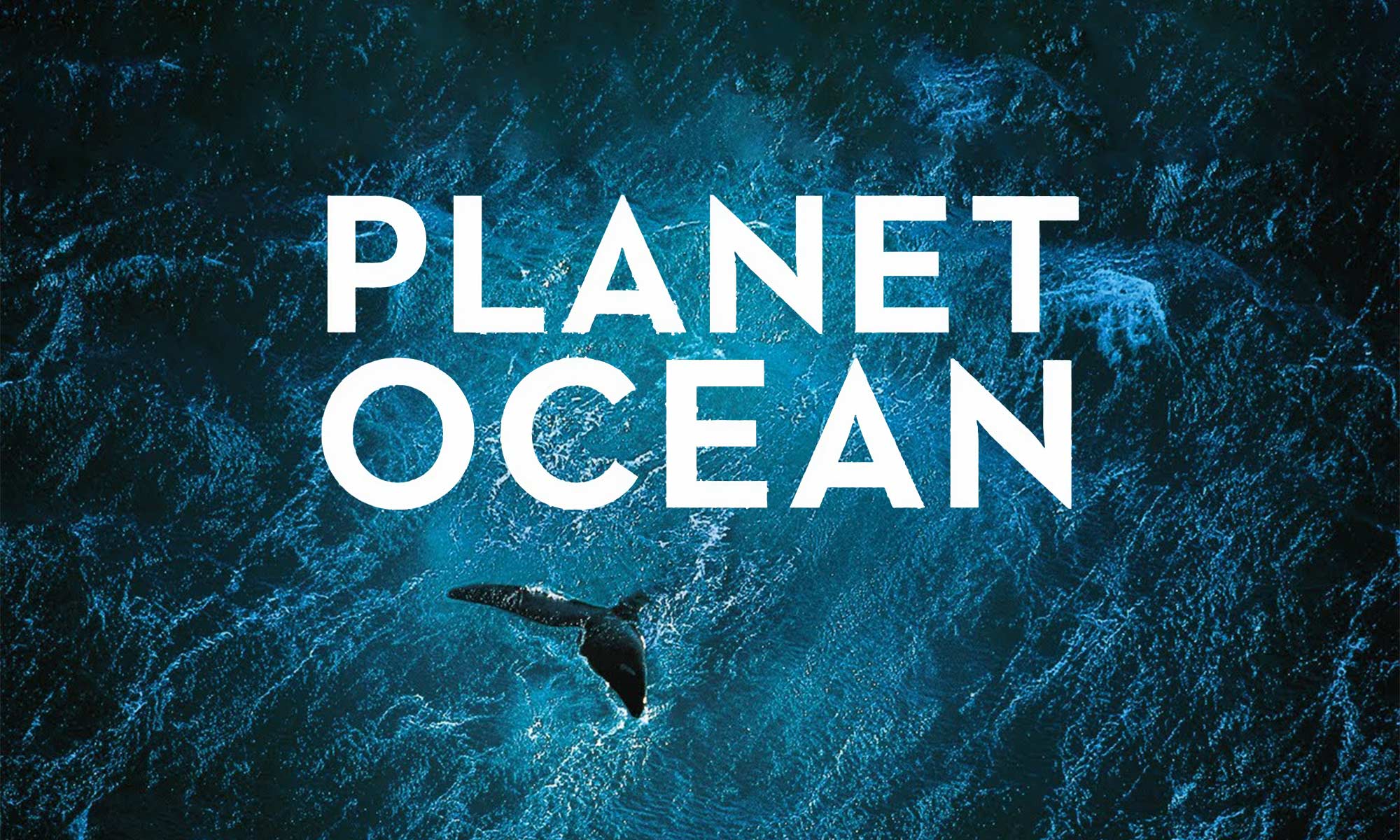 Planet Ocean