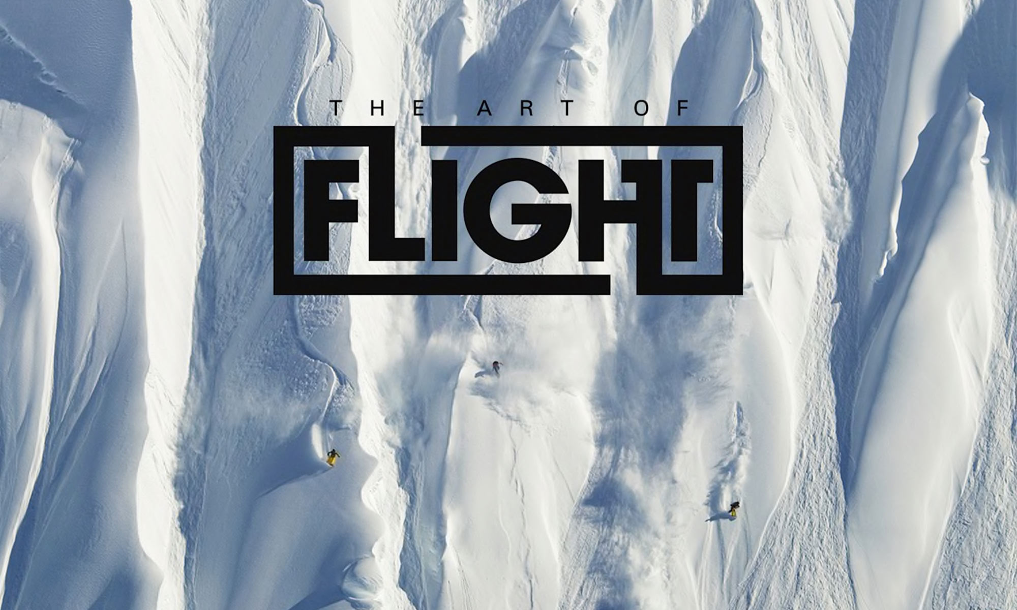 The art of flight