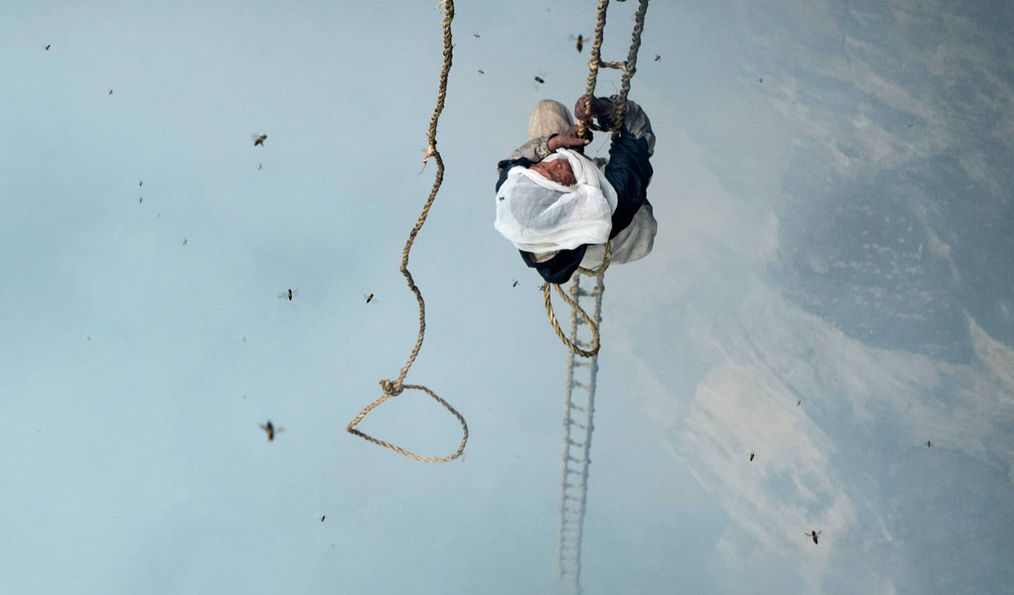 The last honey hunter