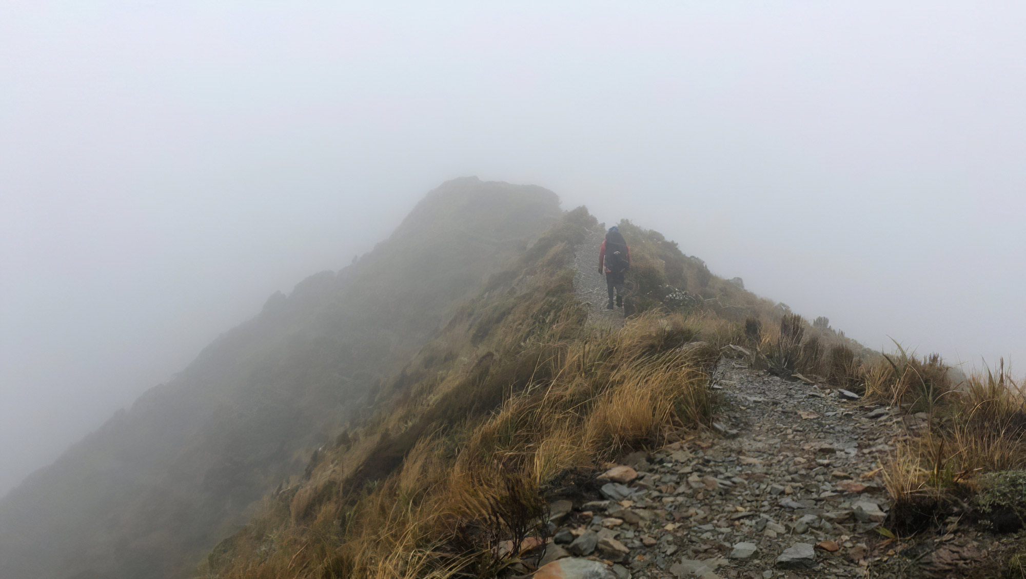Paparoa National Park