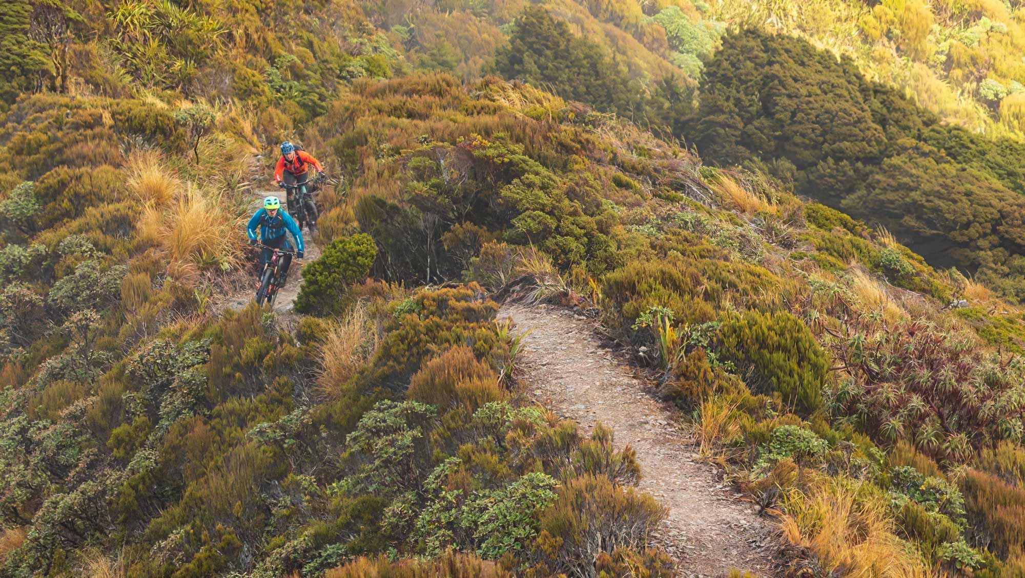 Paparoa National Park