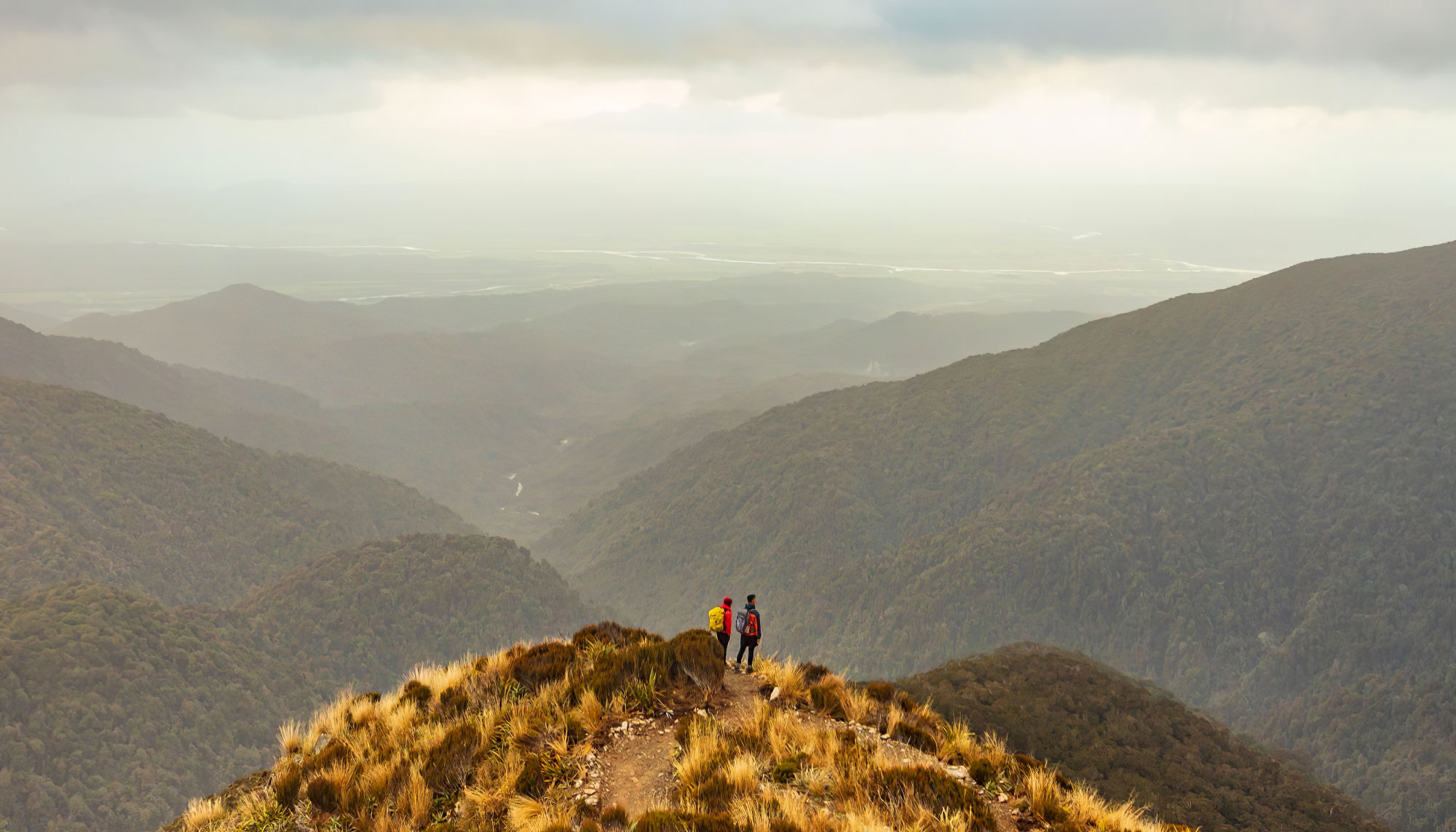 Paparoa National Park