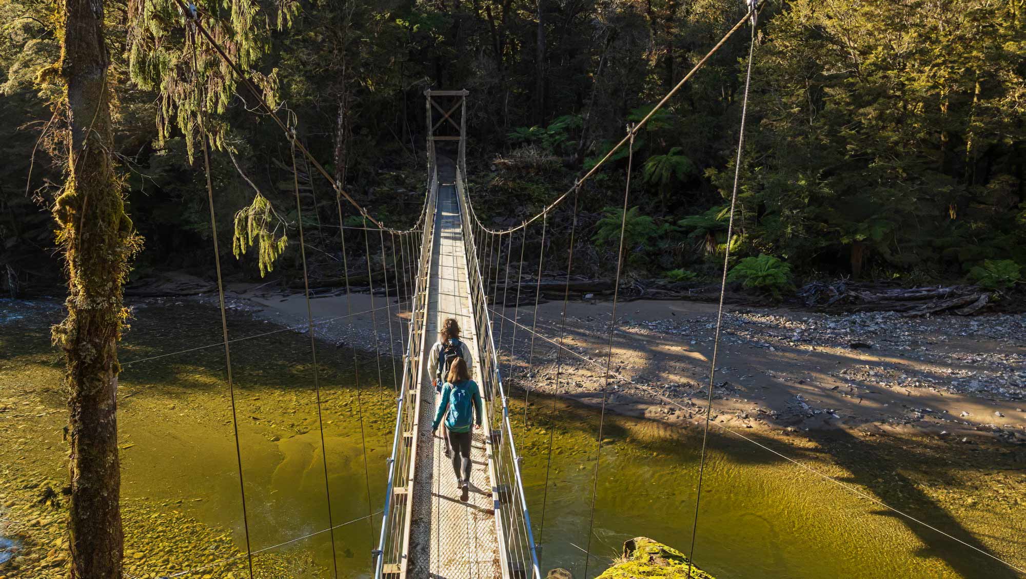 Paparoa National Park