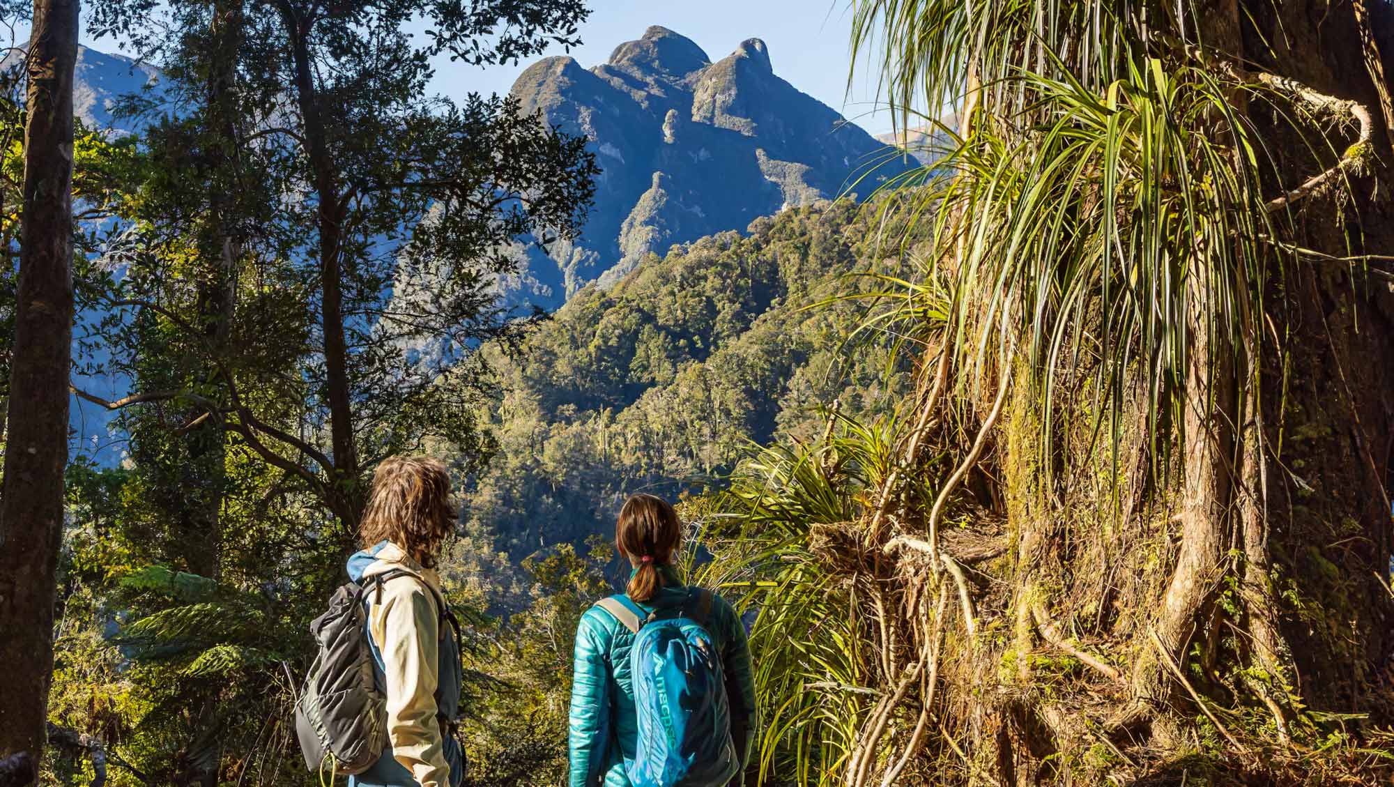 Paparoa National Park