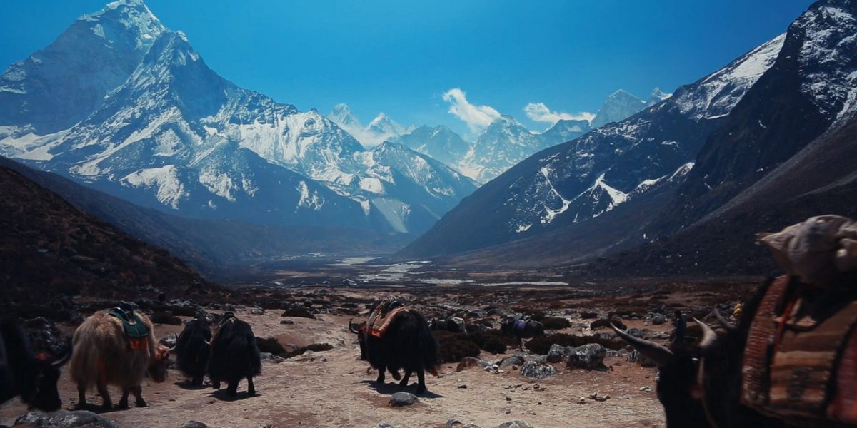 Vallée du Khumbu, Népal