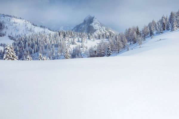 L’appel de Kévin Mayer, Simon Fourcade, Mathieu Maynadier et du PGHM : Soyez responsables et restez chez-vous !