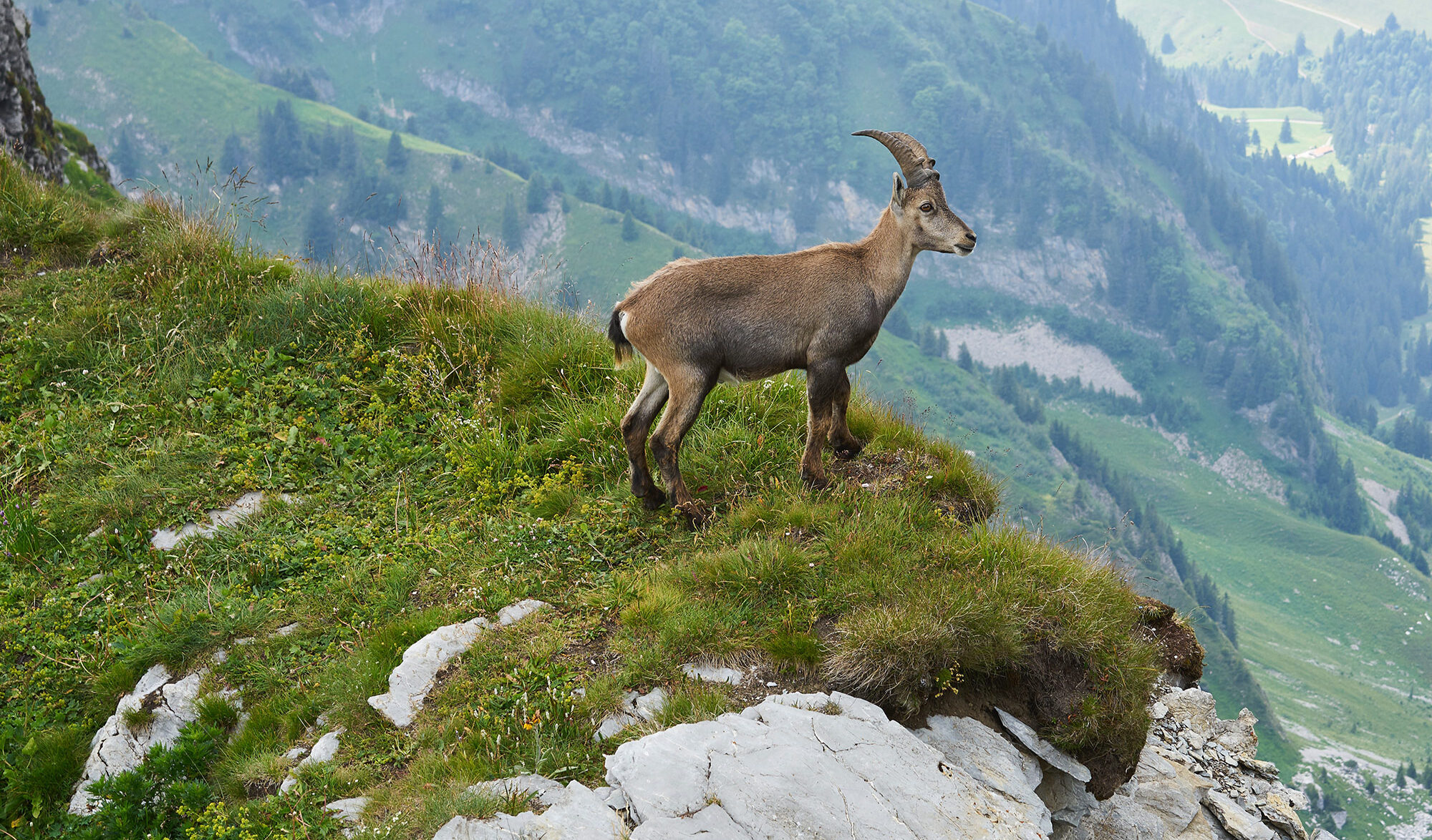 Parc National