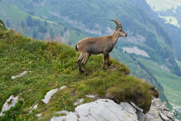 Parc National