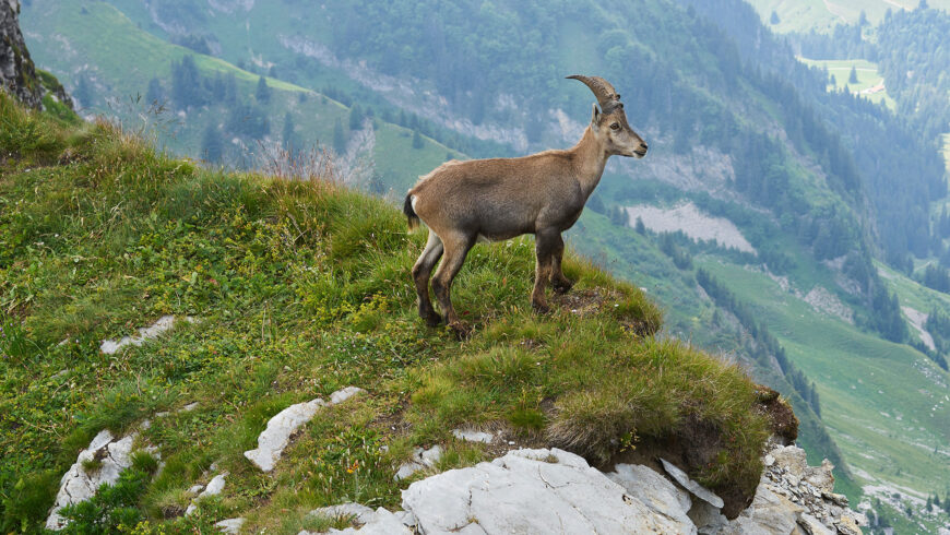 Parc National