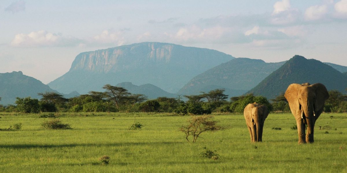 Parc National de Samburu, Kenya