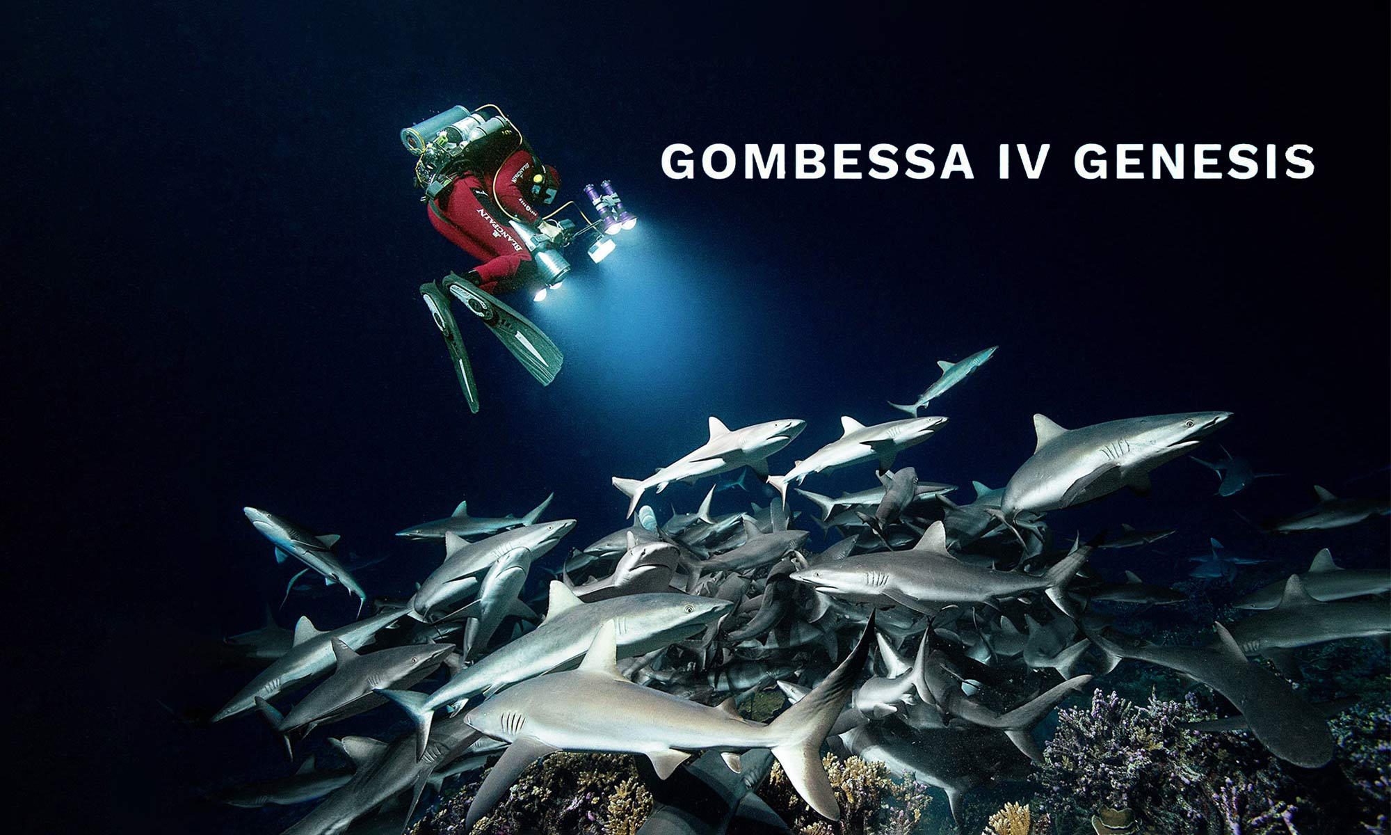 Gombessa IV Genesis