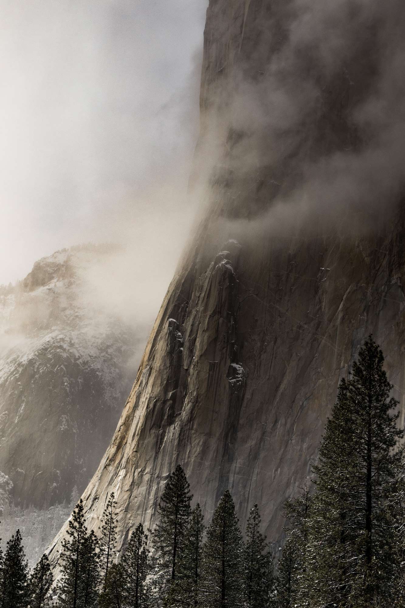Parc National du Yosemite