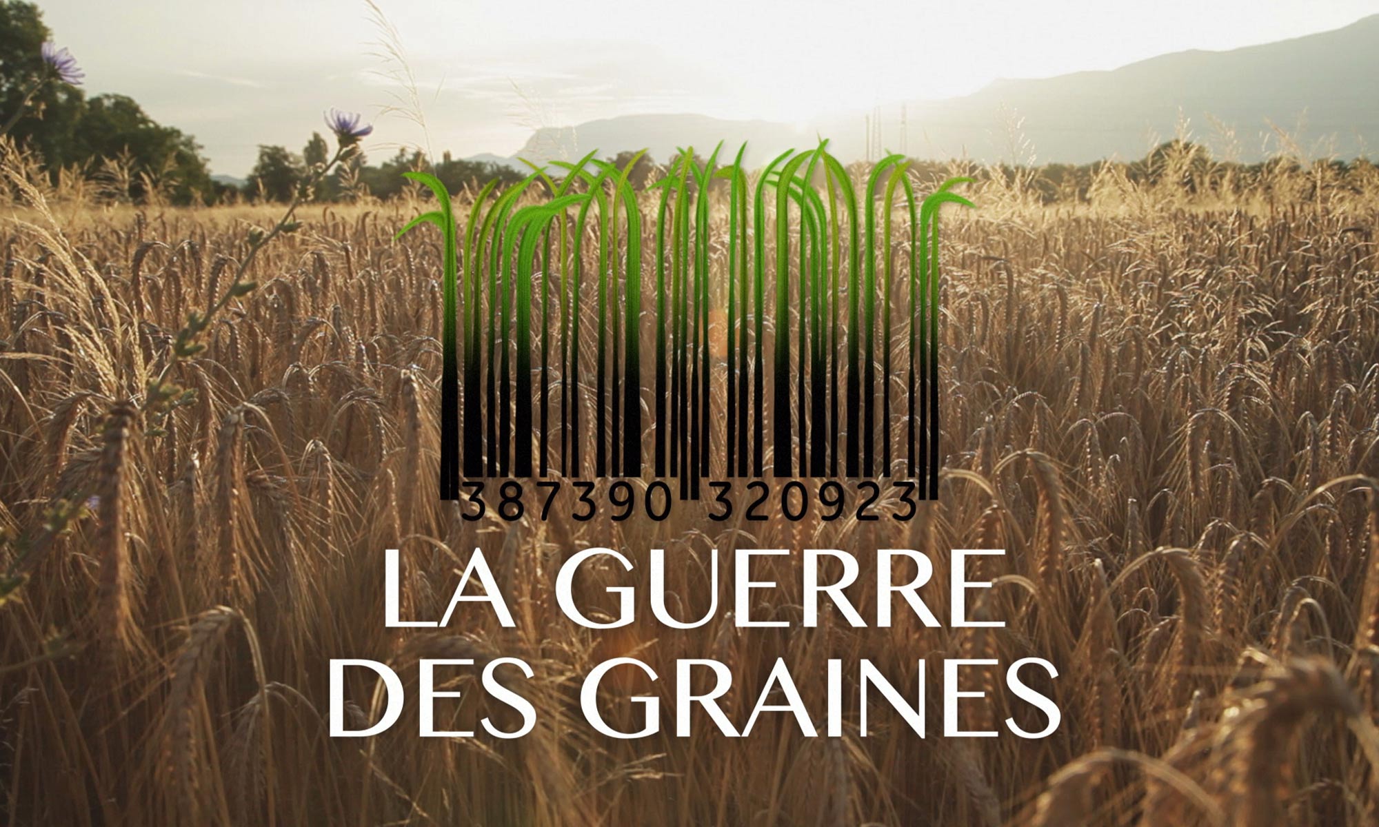 La guerre des graines