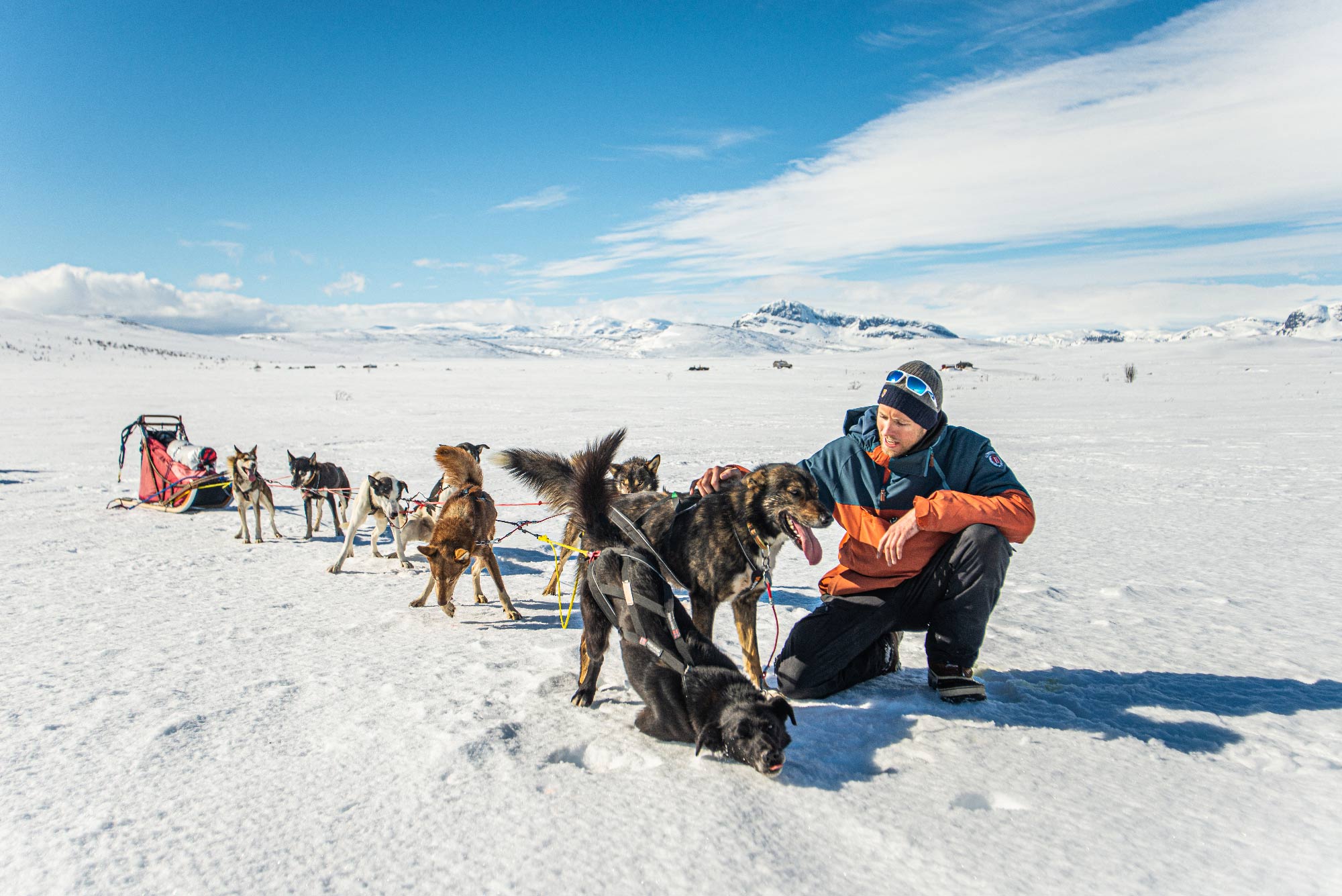 Lucas Lepage musher et guide en traineau à chiens en Norvège