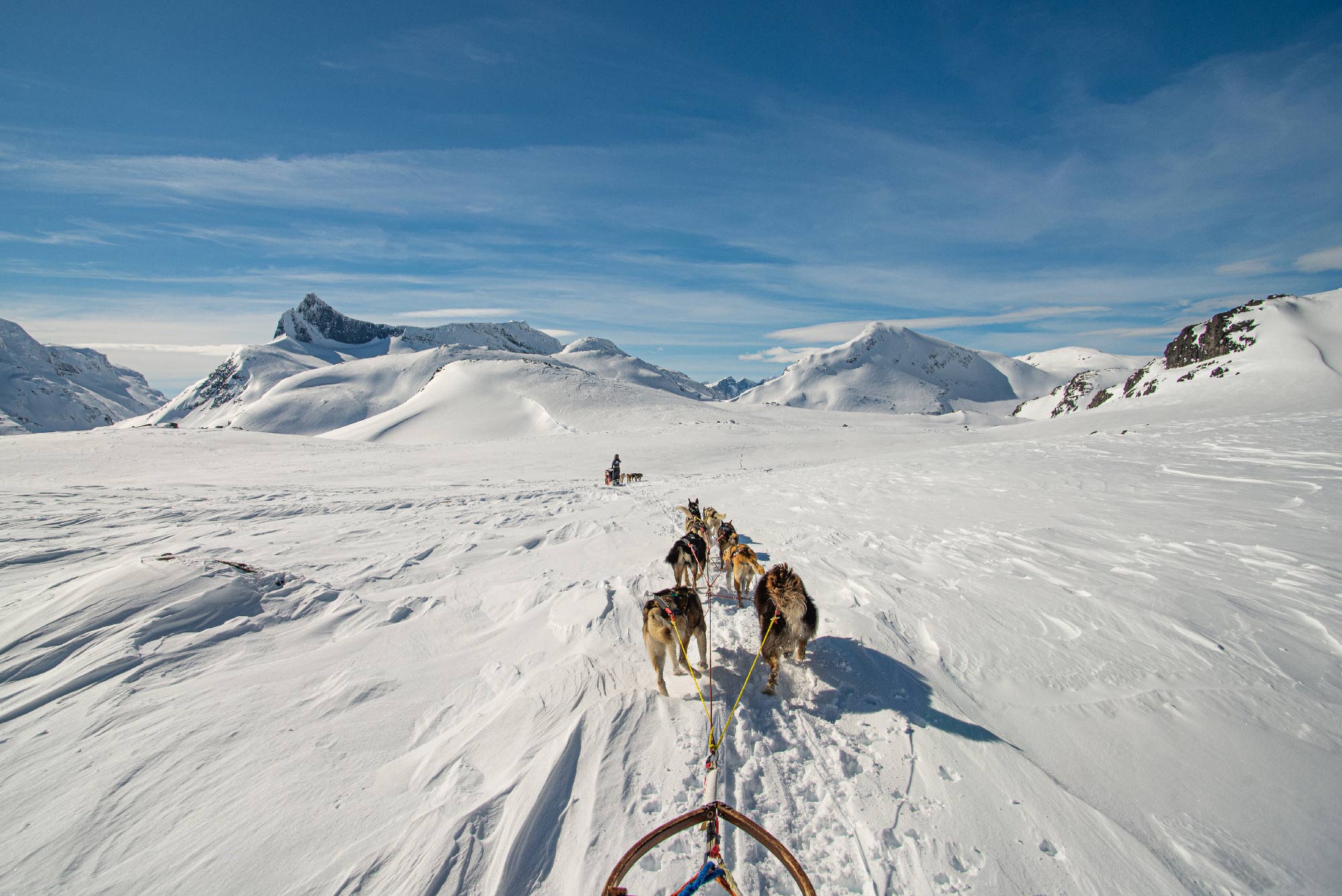 Lucas Lepage musher et guide en traineau à chiens en Norvège