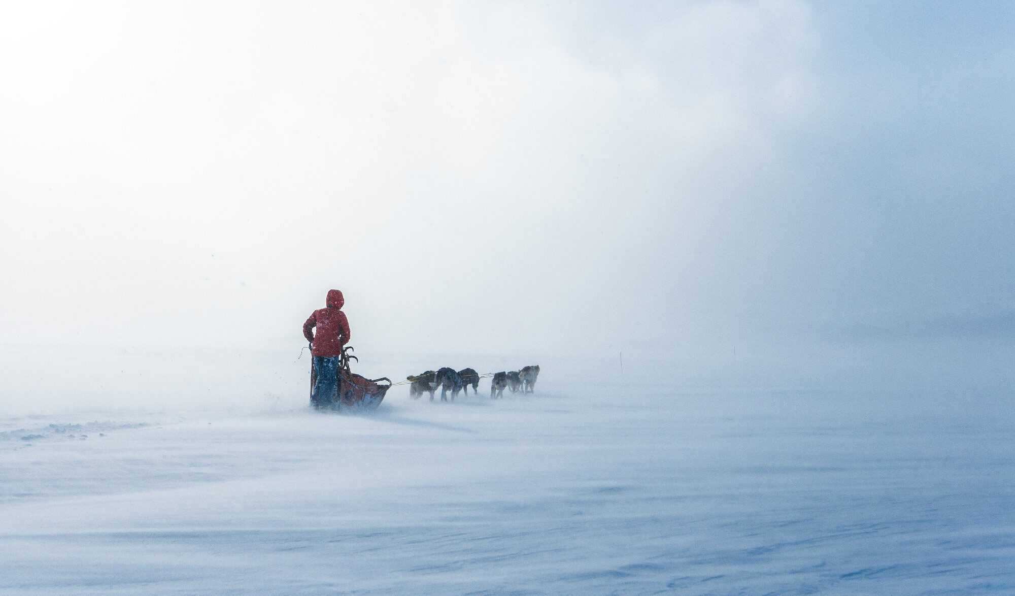 Lucas Lepage musher et guide en traineau à chiens en Norvège