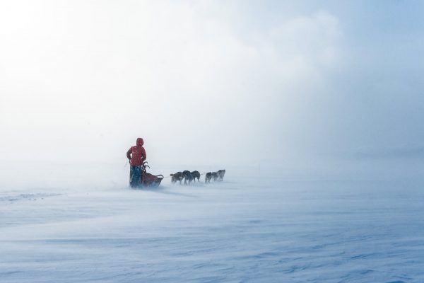 Lucas Lepage musher et guide en traineau à chiens en Norvège