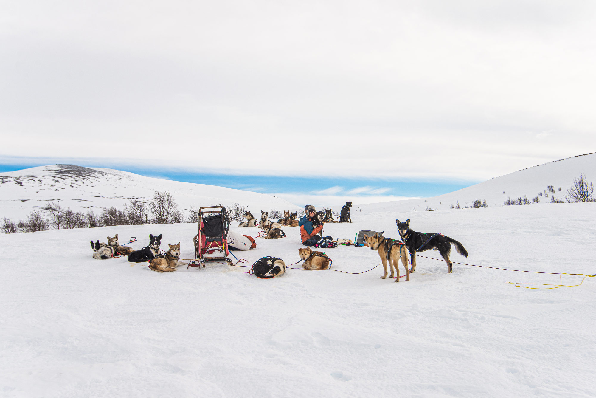 Lucas Lepage musher et guide en traineau à chiens en Norvège