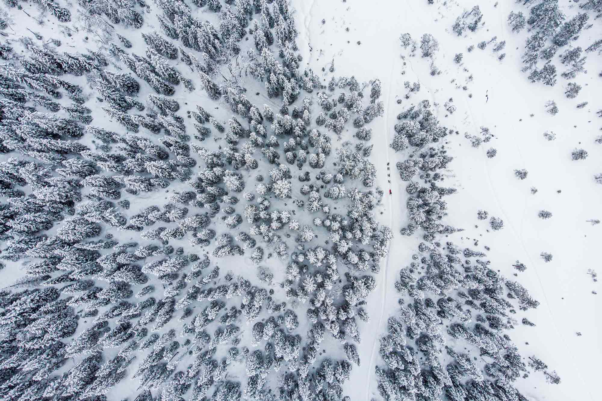 Lucas Lepage musher et guide en traineau à chiens en Norvège