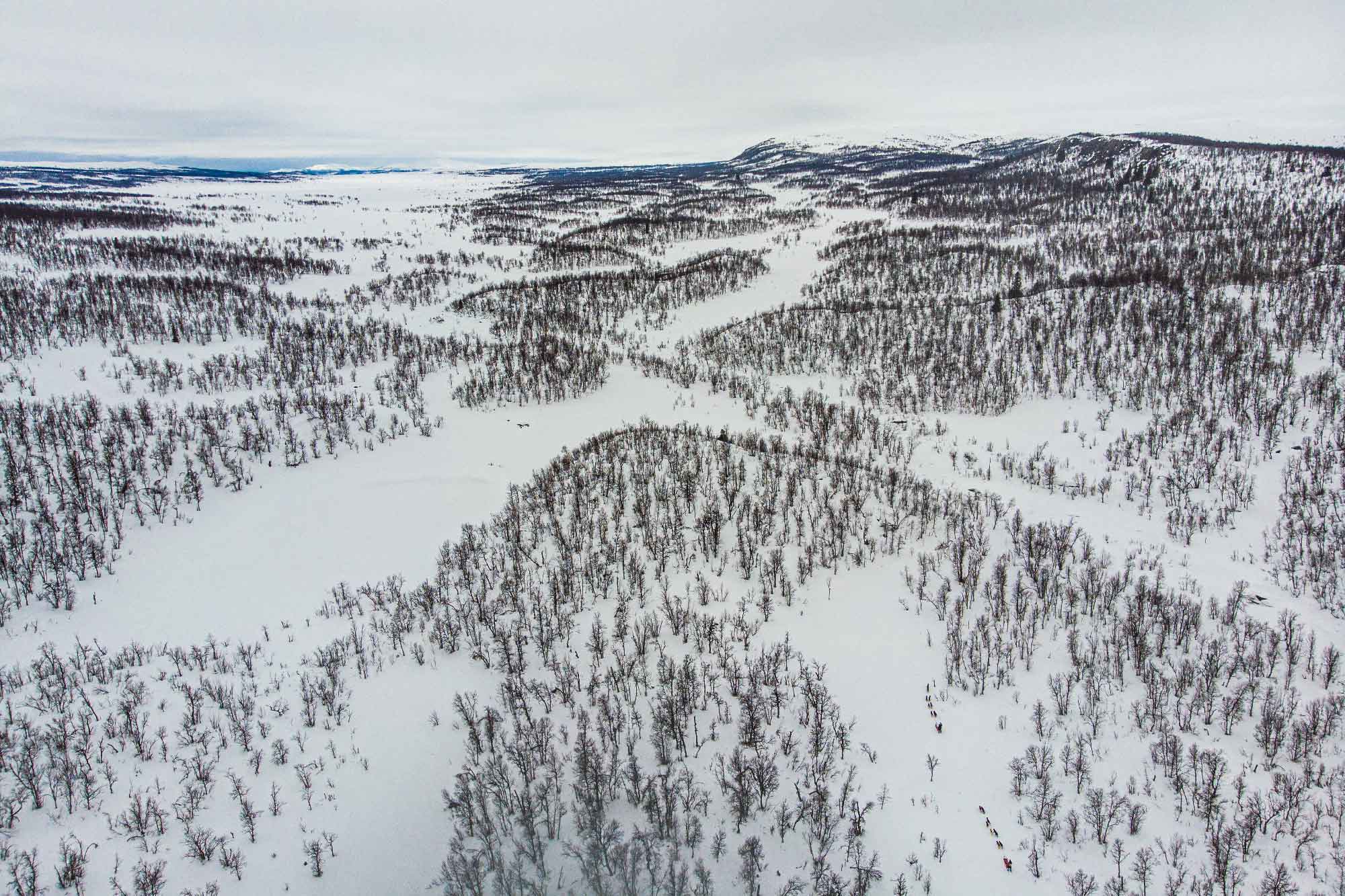 Lucas Lepage musher et guide en traineau à chiens en Norvège