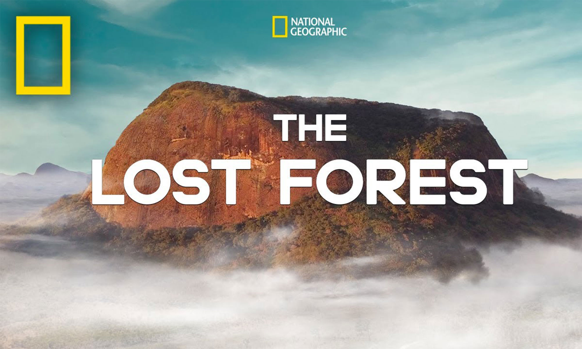 the lost forest