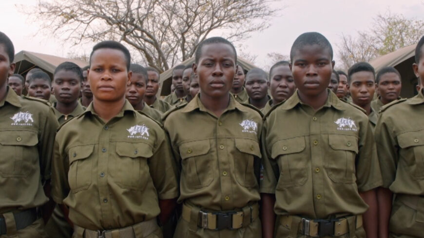 "Akashinga, la guerre de l’ivoire"