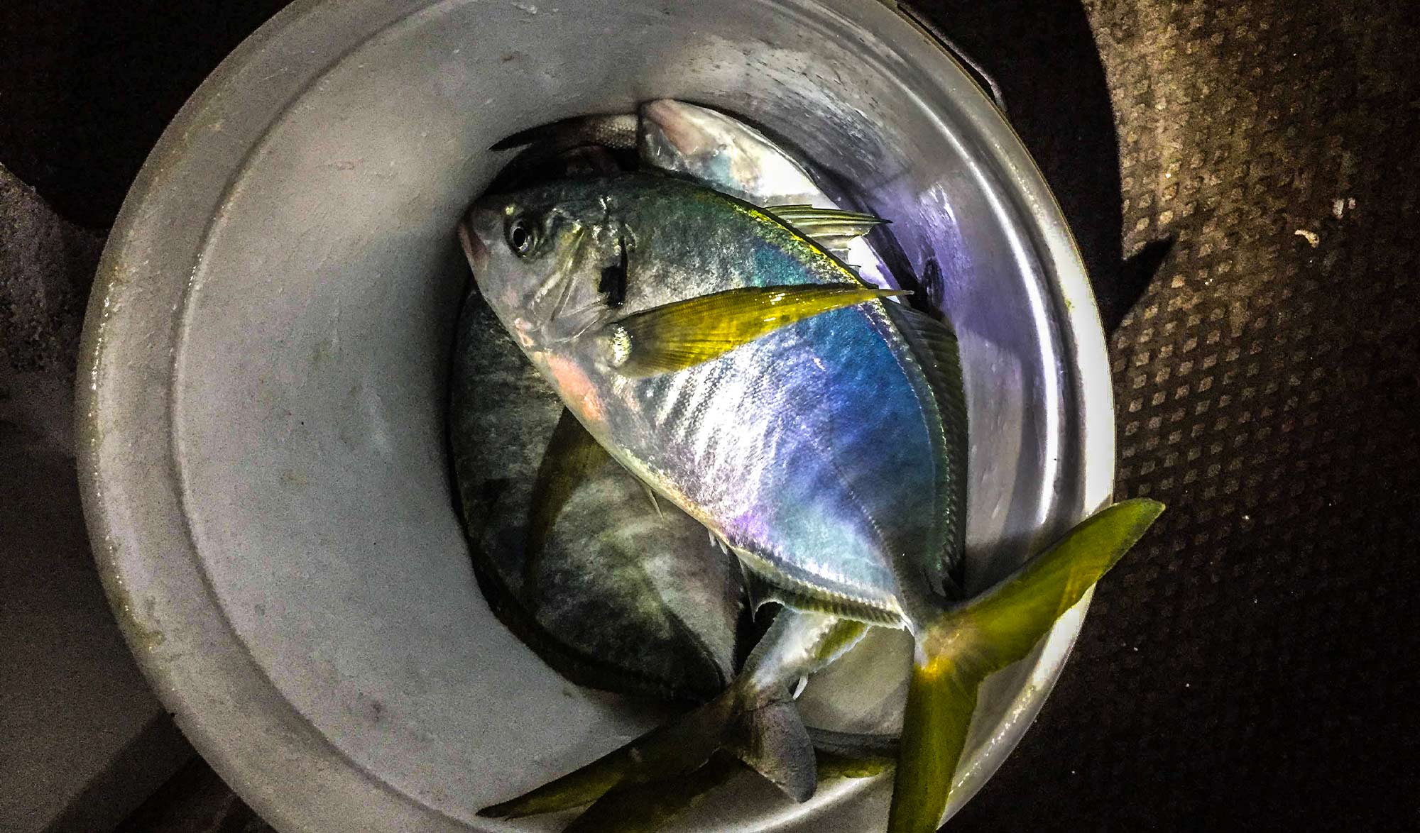 Sur les traces de Robinson Crusoé