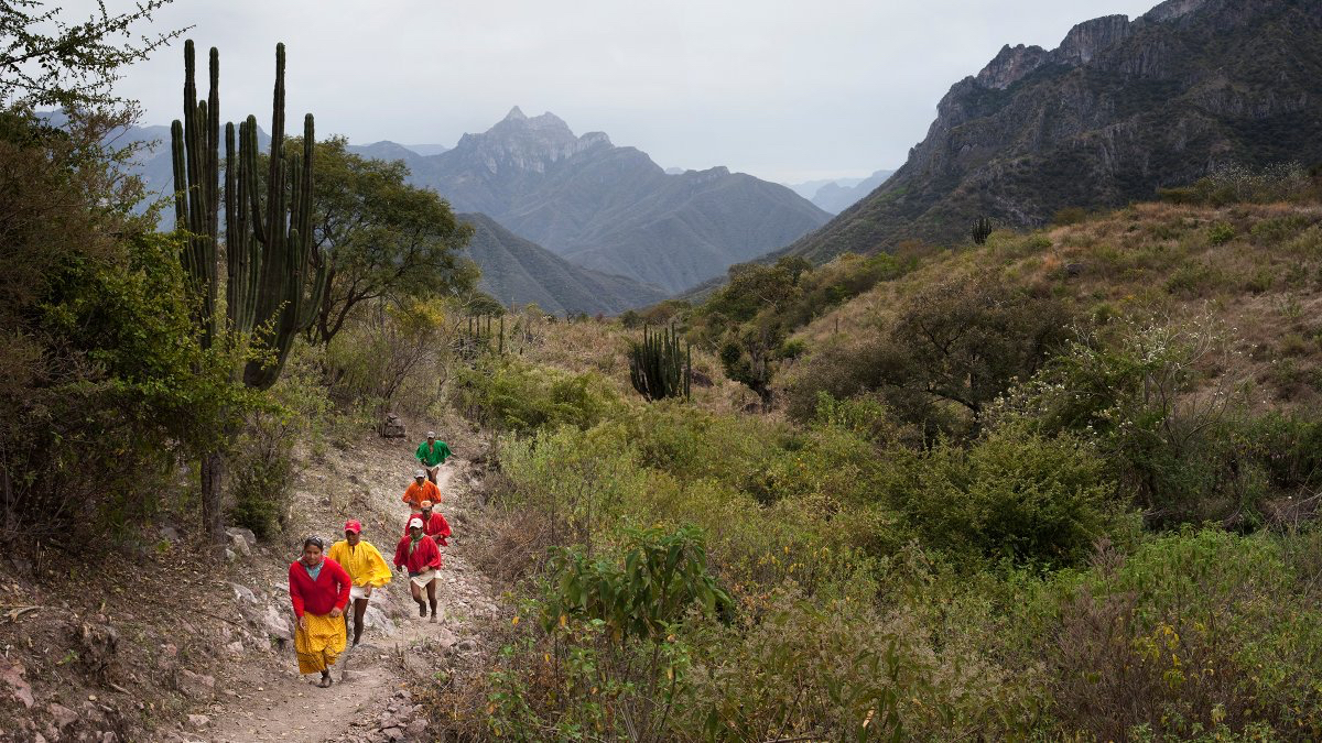 Coureurs Tarahumaras