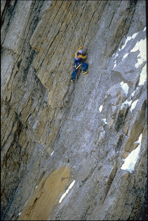 Catherine Destivelle, Grandes Jorasses