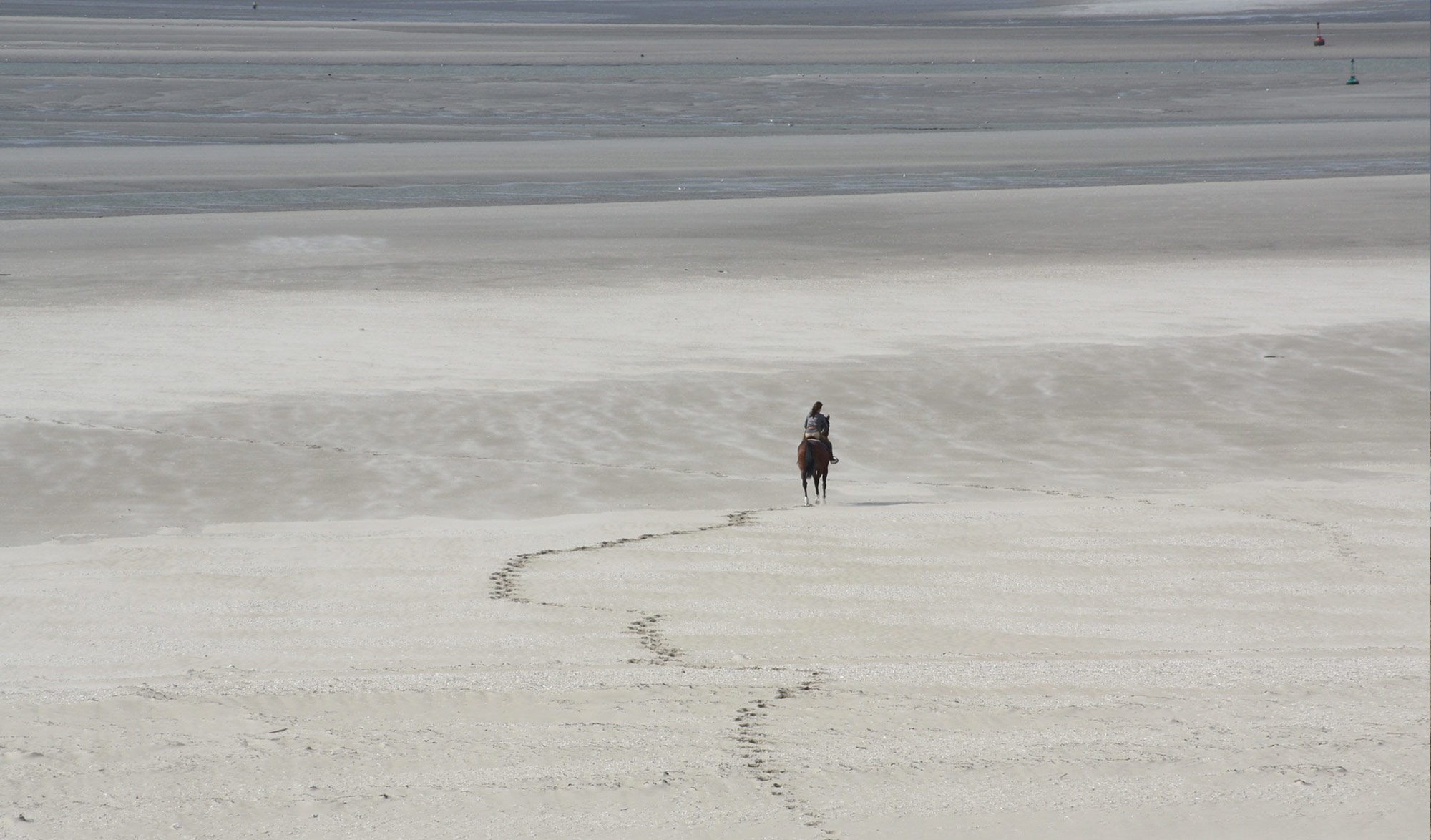 Parc National de la Baie de Somme